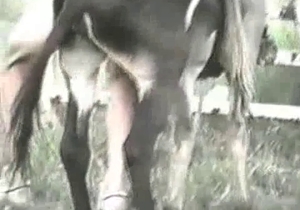 Slender pony is getting ready for bestiality sex