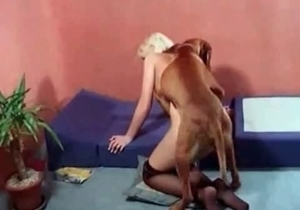 Insatiable animal stretches out a stupid whore