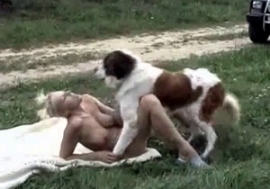 Dog with a big dick is fucking a blonde slut