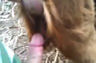 Woman animal xxx